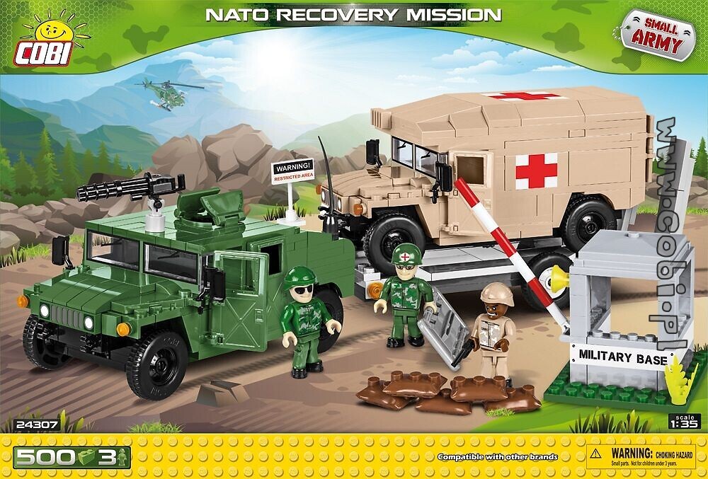 NATO Recovery Mission