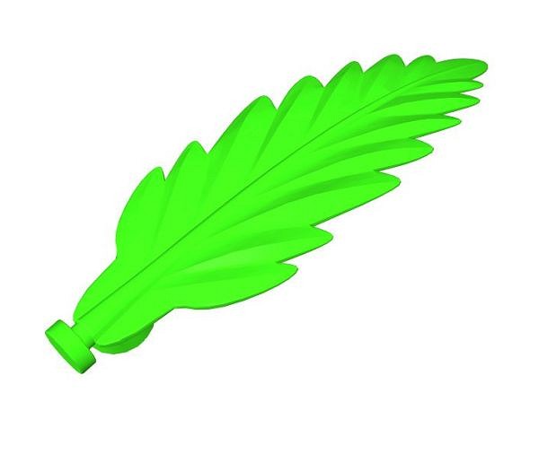Liść palmy