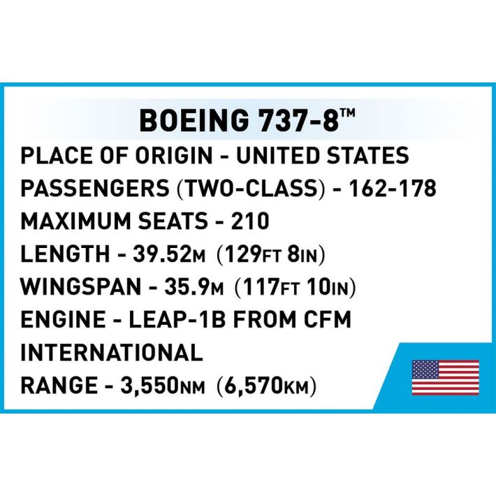 Boeing 737-8 - fot. 8