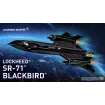 Lockheed SR-71 Blackbird - fot. 17