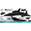 Lockheed SR-71 Blackbird - fot. 6